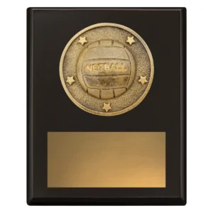 Black challenge plaque - netball with timber construction
