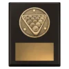 Black challenge plaque - pool with timber construction