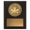 Black challenge plaque - spelling bee with timber construction