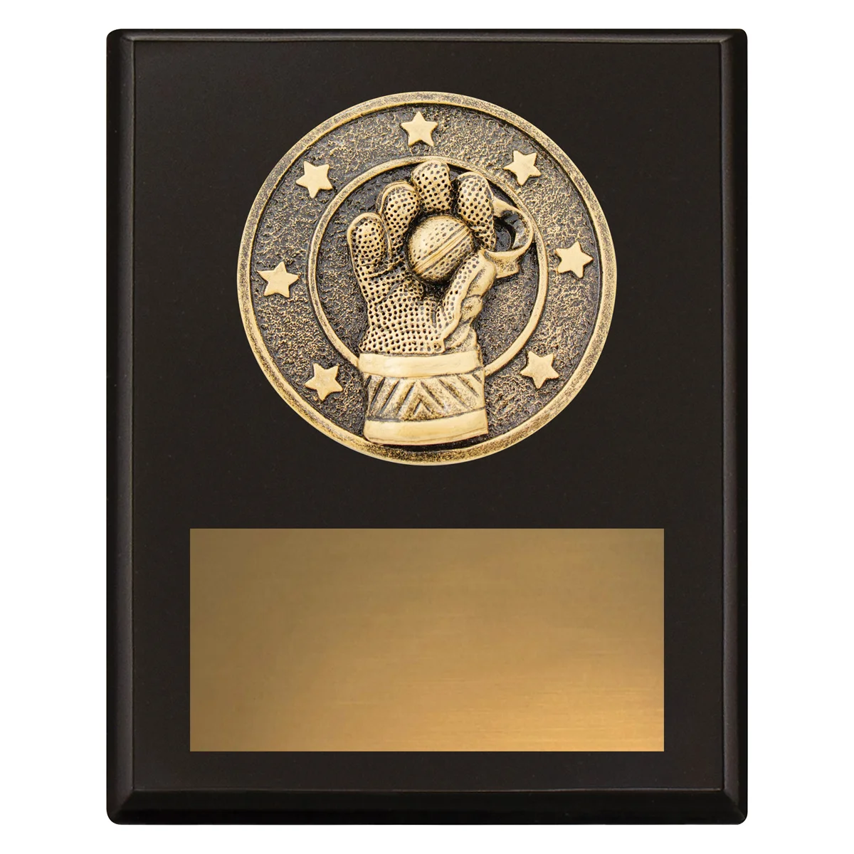 Black challenge plaque - wicketkeeping with timber construction