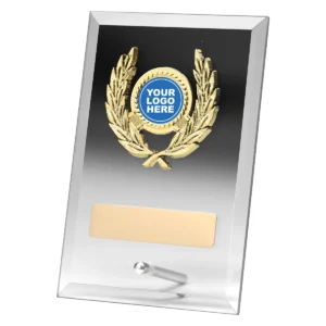 Clear plaque with glass construction