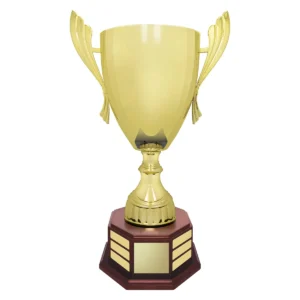 Walnut concordia cup with metal / plastic / timber construction