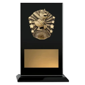 Black cosmos glass - duck with glass construction