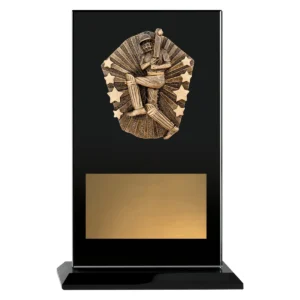 Black cosmos glass - male batting with glass construction