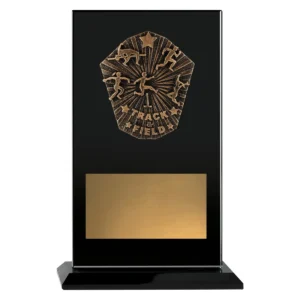 Black cosmos glass - track & field with glass construction