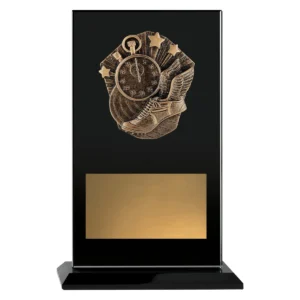 Black cosmos glass - track with glass construction