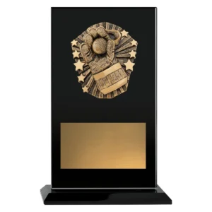 Black cosmos glass - wicketkeeper with glass construction