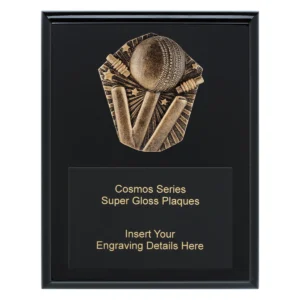 Black cosmos super plaque - cricket with timber construction