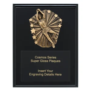 Black cosmos super plaque - female fielding with timber construction