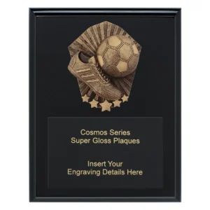 Black cosmos super plaque - futsal / indoor with timber construction