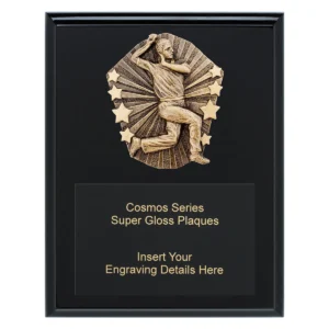 Black cosmos super plaque - male bowler with timber construction