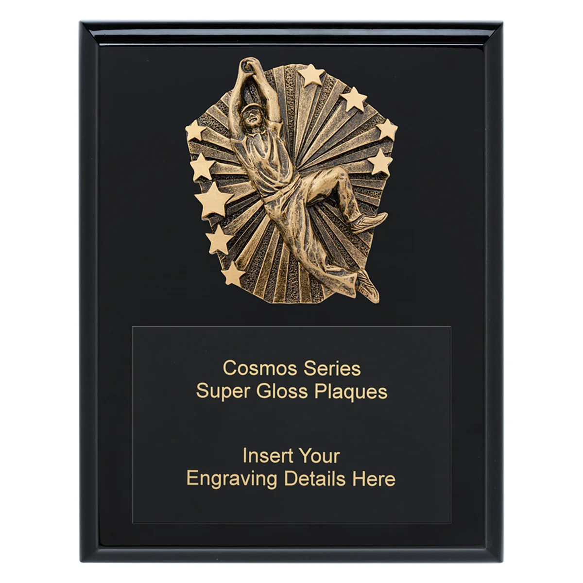 Black cosmos super plaque - male fielding with timber construction