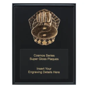 Black cosmos super plaque - martial arts with timber construction