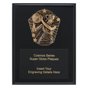 Black cosmos super plaque - netball with timber construction
