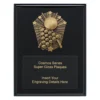 Black cosmos super plaque - pool with timber construction