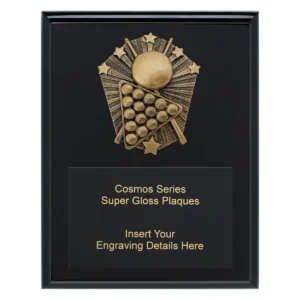 Black cosmos super plaque - pool with timber construction