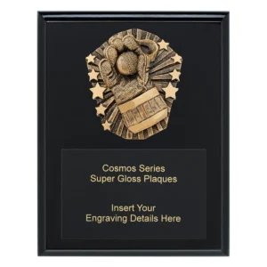 Black cosmos super plaque - wicketkeeper with timber construction