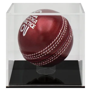 Cricket ball case with acrylic construction