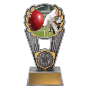 Silver cricket polaris - bowling with resin construction