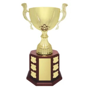 Walnut ensign cup with metal / plastic / timber construction