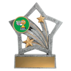 Silver flash - academic character with resin construction