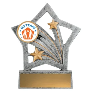 Silver flash - teamwork with resin construction