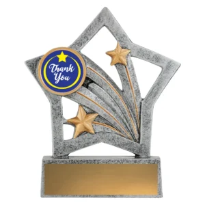 Silver flash - thank you with resin construction