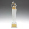Football crystal pedestal with crystal construction