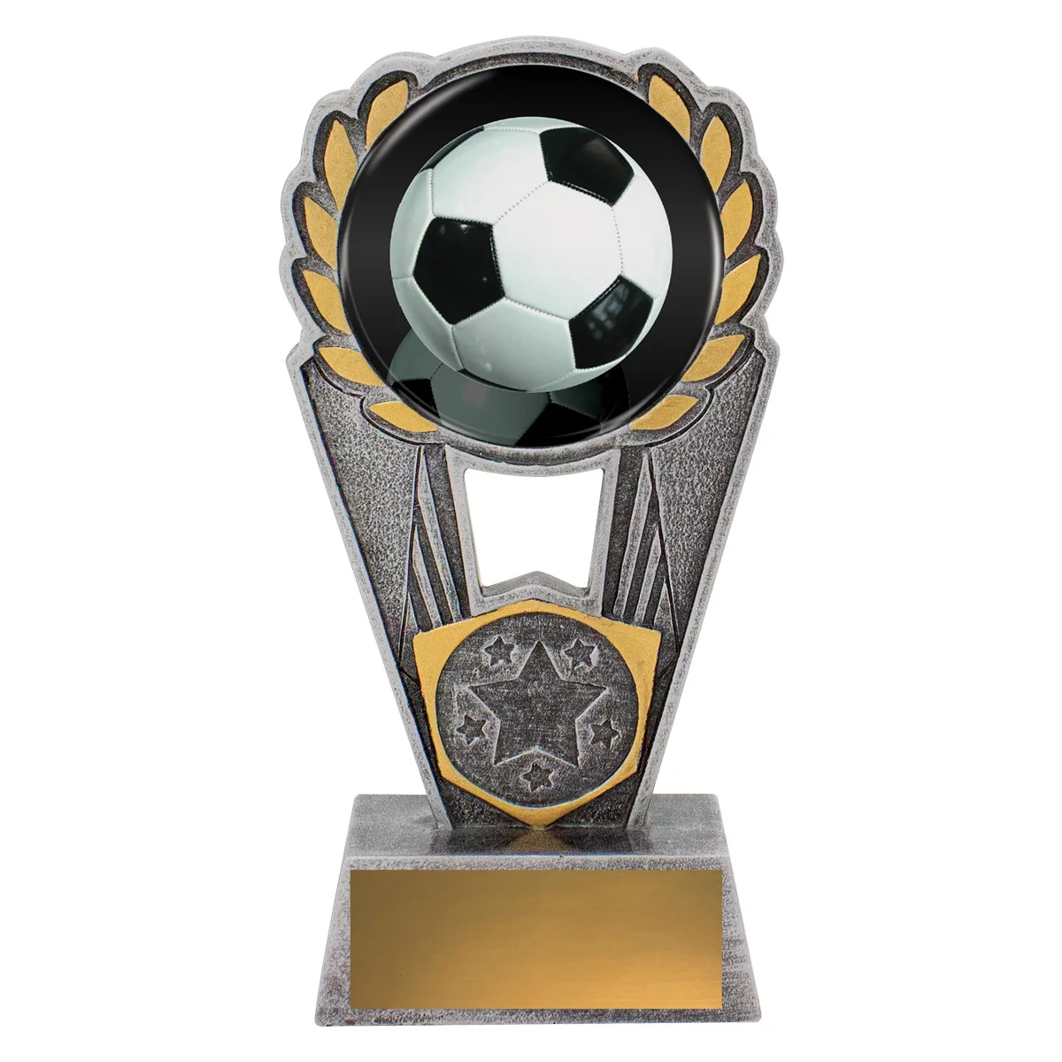 Silver football polaris - colour with resin construction