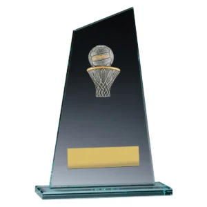 Glass peak - netball with glass construction