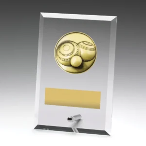 Glass plaques - bowls with glass construction