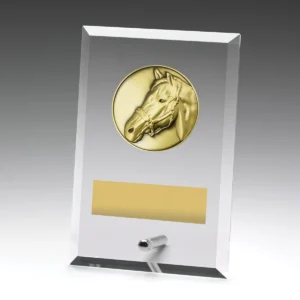 Glass plaques - horse with glass construction