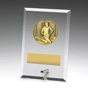 Glass plaques - male with glass construction