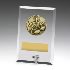 Glass plaques - swim with glass construction
