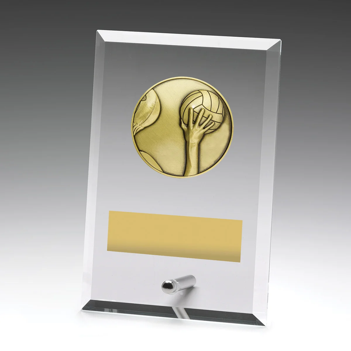 Glass plaques - water polo with glass construction