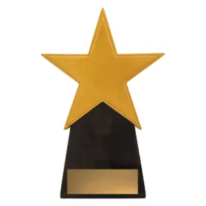 Gold gold star with resin construction