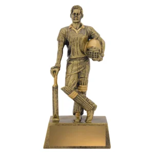 Gold hero batsman with resin construction