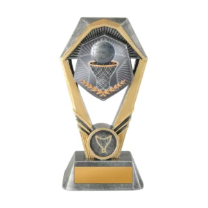 Silver / gold hex tower-netball with resin construction