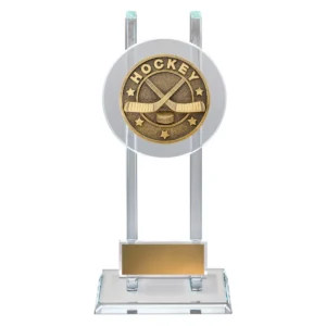 Gold ice hockey spartan glass with glass construction