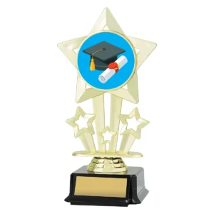 Gold icon star - graduate with plastic construction