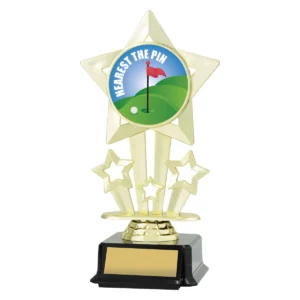 Gold icon star - nearest the pin with plastic construction