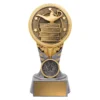 Silver & gold ikon - academic with resin construction