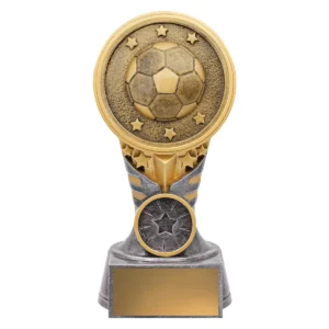 Silver & gold ikon - football with resin construction
