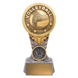 Silver & gold ikon - volleyball with resin construction