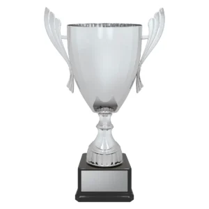 Silver ironside cup with plastic / metal construction