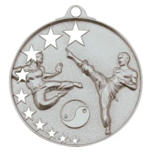 Silver karate stars with metal construction