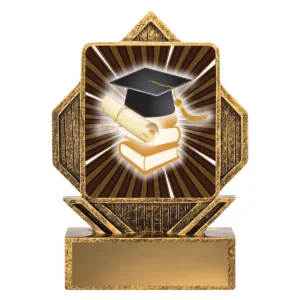 Gold lynx arrow - academic with resin construction