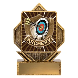 Gold lynx arrow - archery with resin construction