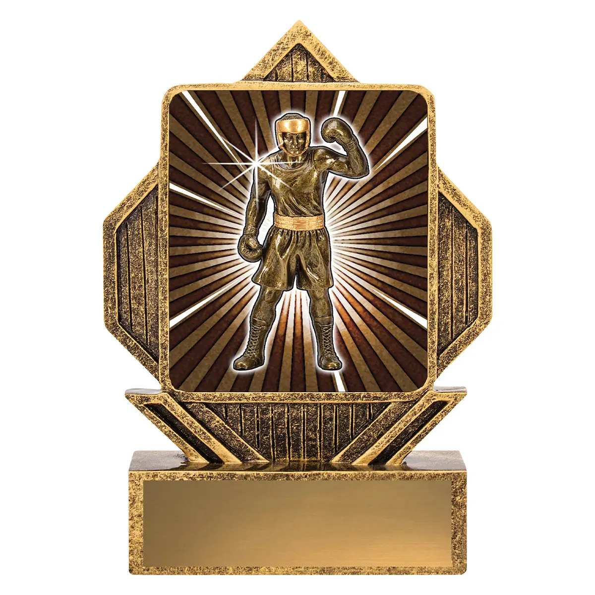 Gold lynx arrow - boxing with resin construction