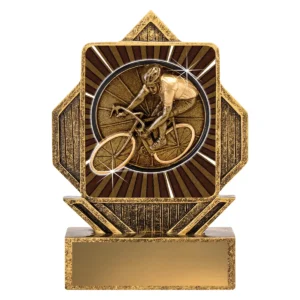 Gold lynx arrow - cycling with resin construction
